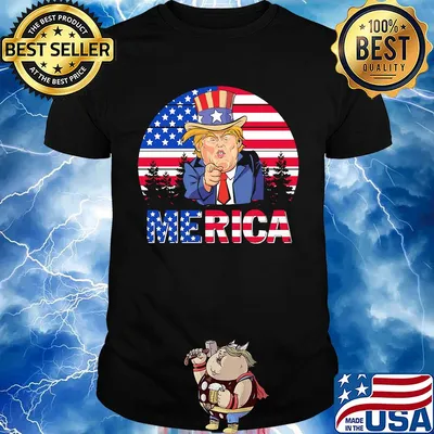 Dolnald Trump American flag veteran Independence Day vintage shirt