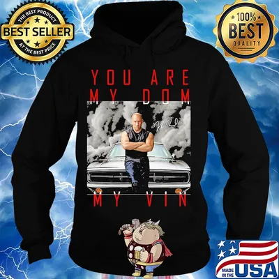 Dominic toretto you are my dom my vin car signature s Hoodie