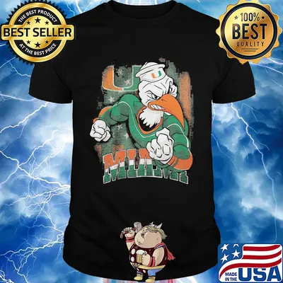 Duck player Miami hurricanes team football shirt