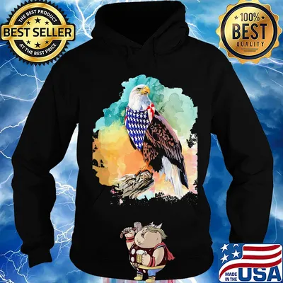 Eagle American flag veteran Independence Day s Hoodie