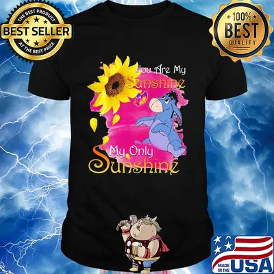 Eeyore butterfly sunflower you are my sunshine my only sunshine shirt