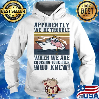 Flamingo apparently we're trouble when we are cruising together who knew vintage s Hoodie