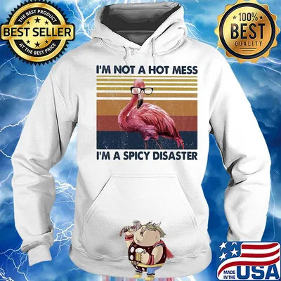 Flamingo I’m not a hot mess I'm a spicy disaster vintage s Hoodie