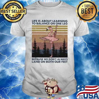 Flamingo life is about learning to balance on the leg because we don’t always land on both our feet vintage shirt