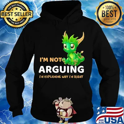 I'm not Arguing I'm explaining why I'm right Dragon s Hoodie