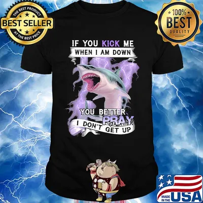 If you kick me when I am down you better pray I don't get up shark shirt