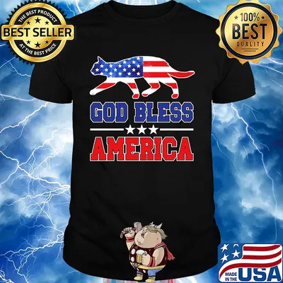 Independence Day cat god bless america shirt
