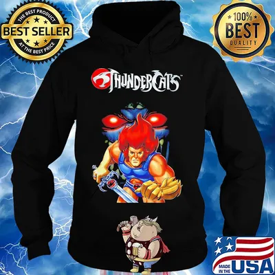 Lion o Thundercats sword s Hoodie