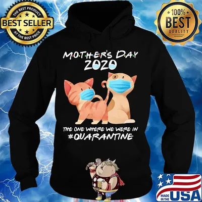 Mother's day 2020 the one where we were in quarantine Cat mask s Hoodie