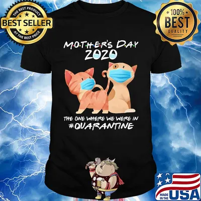 Mother's day 2020 the one where we were in quarantine Cat mask shirt
