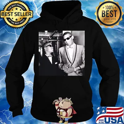 New style stevie wonder ray charles s Hoodie