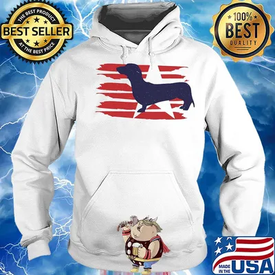 Official dachshund flag vintage s Hoodie