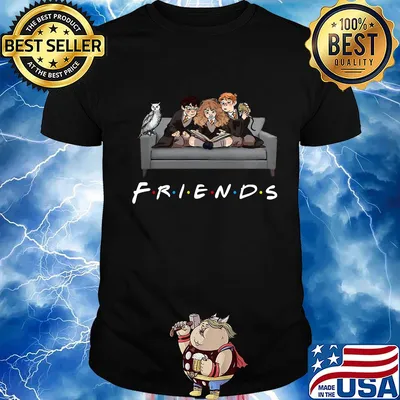 Owl friend Harry potter on the sofa shirt
