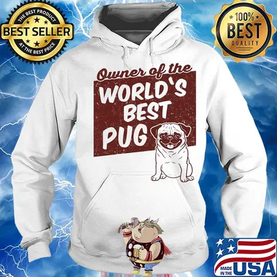 Owner of the world's best Pug dog s Hoodie