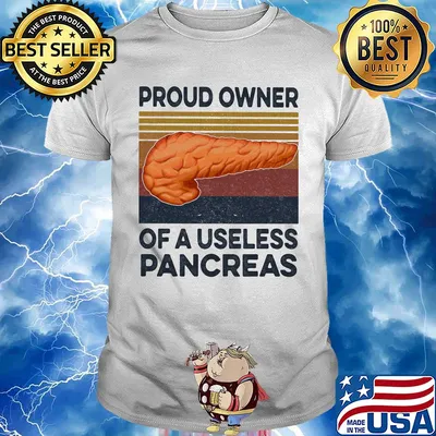 Proud owner of a useless pancreas vintage shirt