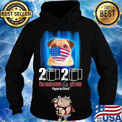 Pug mask 2020 the year when shit got real quarantined toilet paper American flag veteran Independence Day s Hoodie