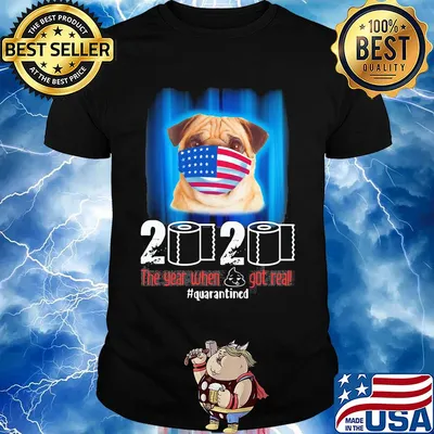 Pug mask 2020 the year when shit got real quarantined toilet paper American flag veteran Independence Day shirt