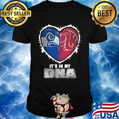 Seattle seahawks and washington state cougars it's in my dna shirt