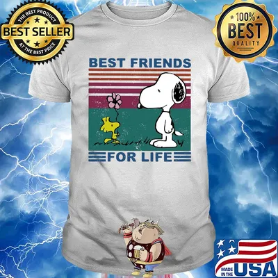 Snoopy and woodstock best friends for life vintage shirt