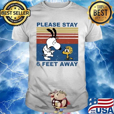 Snoopy and woodstock please stay 6 feet away vintage shirt