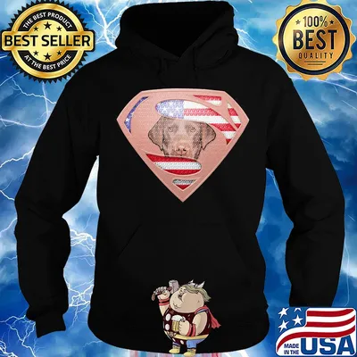 Superman labrador retriever american flag independence day s Hoodie