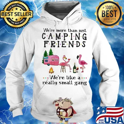 We're more than just camping friends we're like a really small gang Flamingo s Hoodie