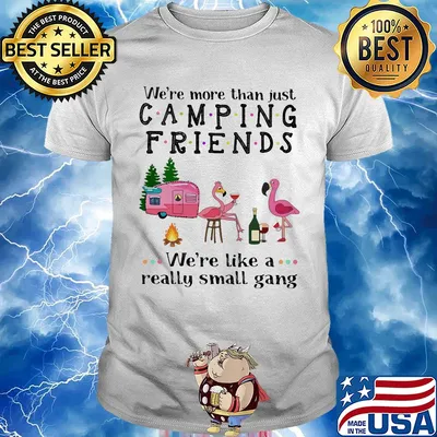 We're more than just camping friends we're like a really small gang Flamingo shirt