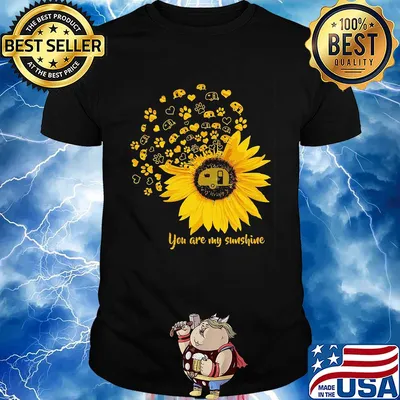 You are my sunshine sunflower car shirt