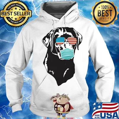 4th of july dog Coonhound glasses mask s Hoodie