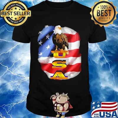 Agle USA American flag veteran Independence day shirt