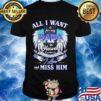 All I want is for my papa in heaven to know how much I love and miss him shirt