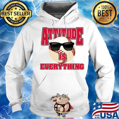 Baseball attitude is everything s Hoodie