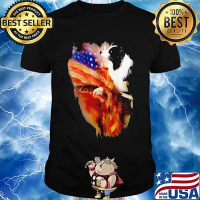 Border Collie American Wings Independence Day Shirt