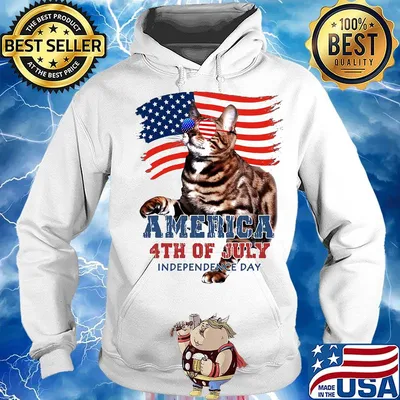 Cat American 4th of July flag veteran Independence day s Hoodie