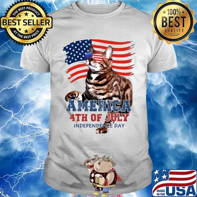 Cat American 4th of July flag veteran Independence day shirt
