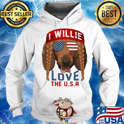 Dachshund I willie love the USA American flag veteran Independence Day s Hoodie