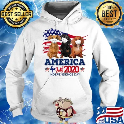 Dachshund mask america 4 july of 2020 independence day s Hoodie