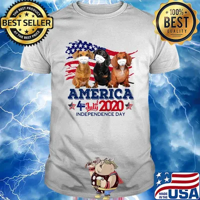 Dachshund mask america 4 july of 2020 independence day shirt