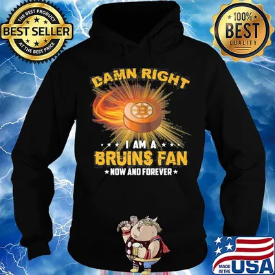 Damn right i am a boston bruins fan now and forever stars s Hoodie