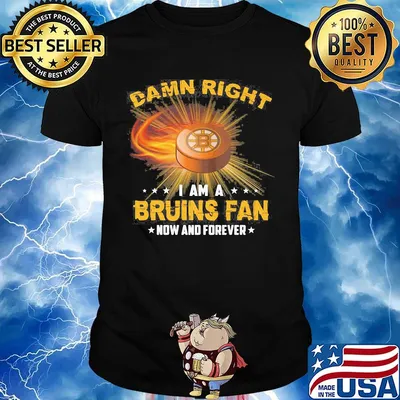 Damn right i am a boston bruins fan now and forever stars shirt
