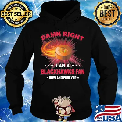 Damn right i am a chicago blackhawks fan now and forever stars s Hoodie