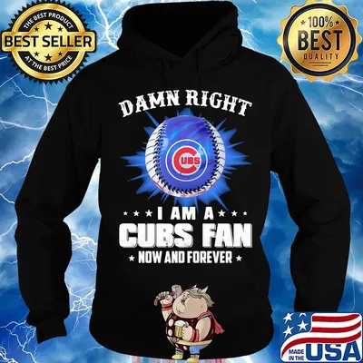 Damn right i am a chicago cubs baseball fan now and forever stars s Hoodie