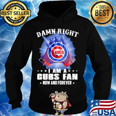 Damn right I am a chicago cubs fan now and forever stars s Hoodie