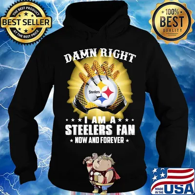Damn right i am a pittsburgh steelers fan now and forever stars s Hoodie
