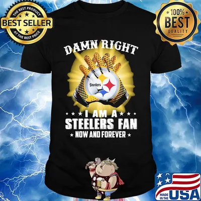 Damn right i am a pittsburgh steelers fan now and forever stars shirt