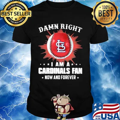 Damn right i am a st. Louis cardinals fan now and forever stars shirt