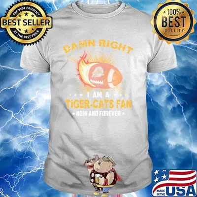 Damn right i am a tiger-cats fan now and forever stars shirt