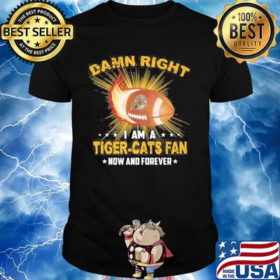 Damn right i am a tiger-cats fan now and forever stars shirt