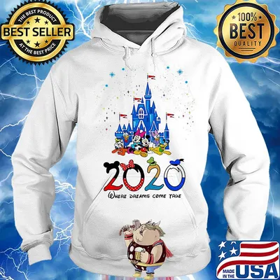 Disney family 2020 where dreams come true s Hoodie