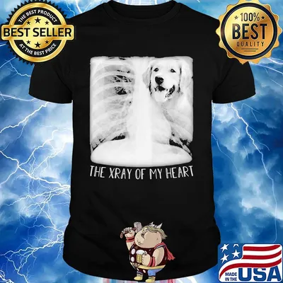 Dog Labrador Retriever the xray of my heart shirt the xray of my heart shirt